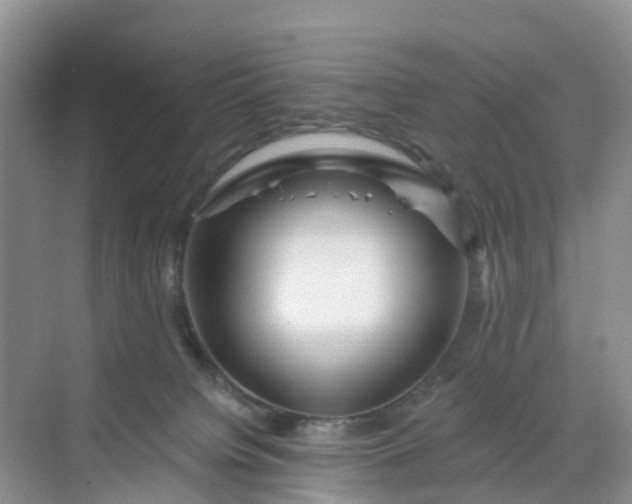 X0000068730084200605121529