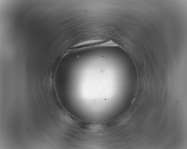 X0000068730085200605121529