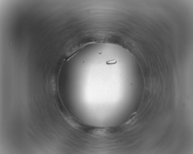 X0000068730086200605121529