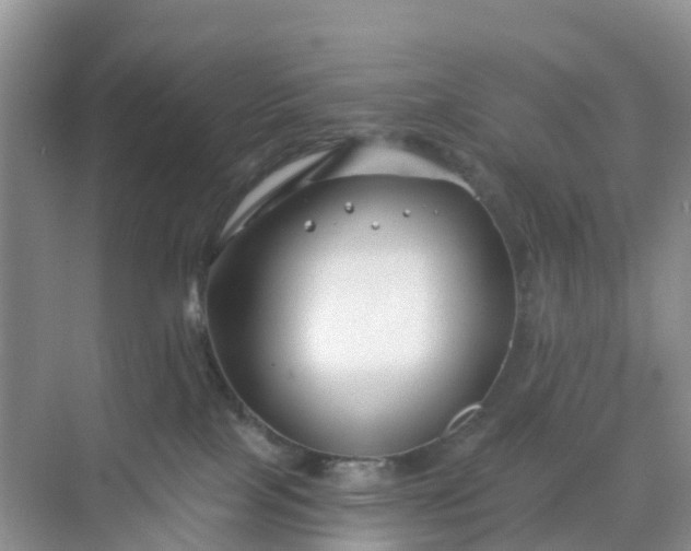 X0000068730089200605121529