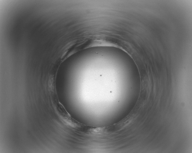 X0000068730092200605121529