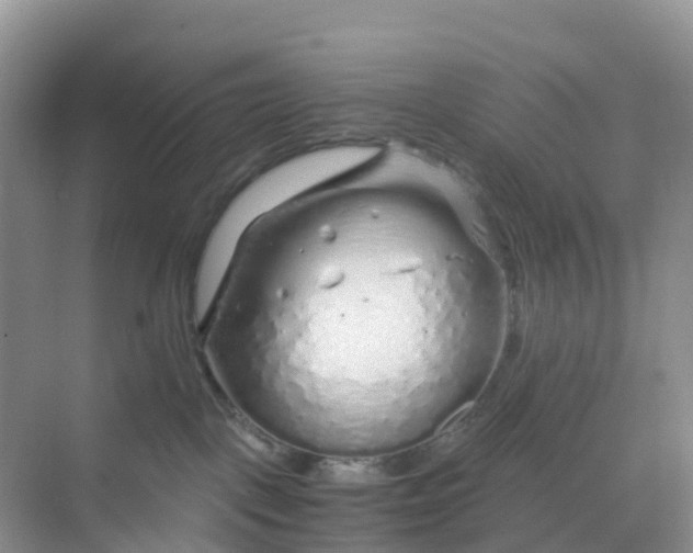 X0000068730093200605121529