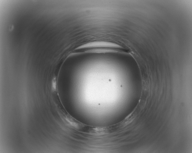 X0000068730095200605121529