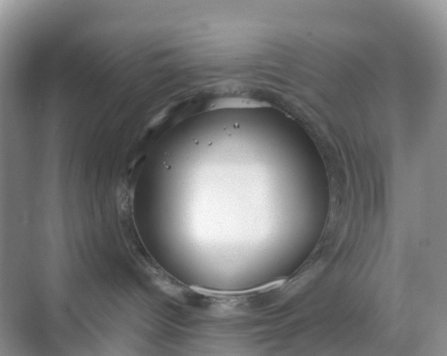 X0000068730096200605121529