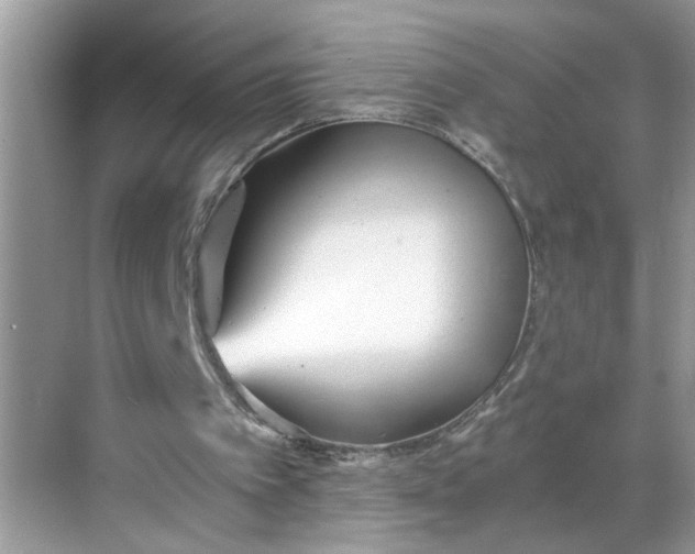 X0000068730097200605121528