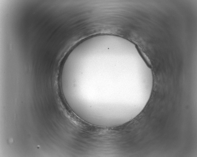 X0000068730098200605121528