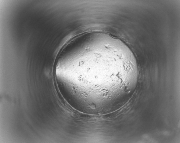 X0000068730099200605121528