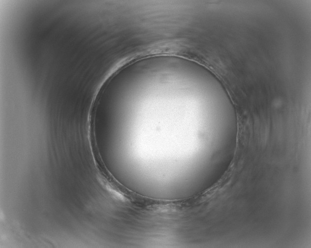 X0000068730100200605121528