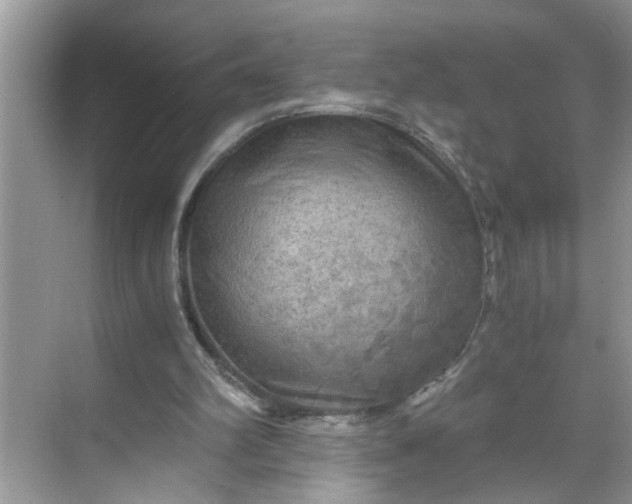 X0000068730102200605121528