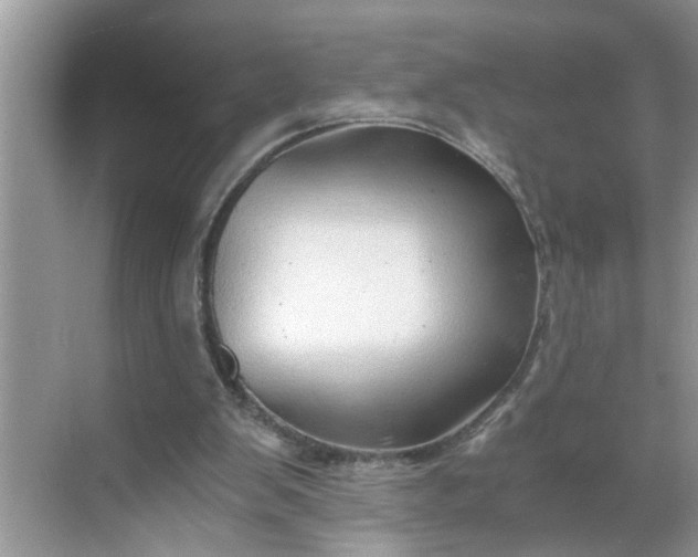 X0000068730103200605121528