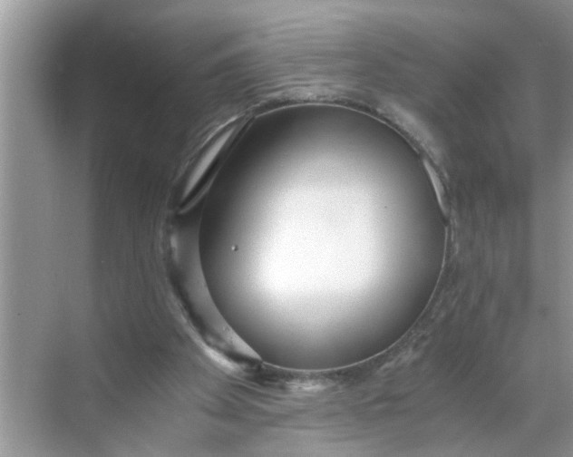 X0000068730105200605121528