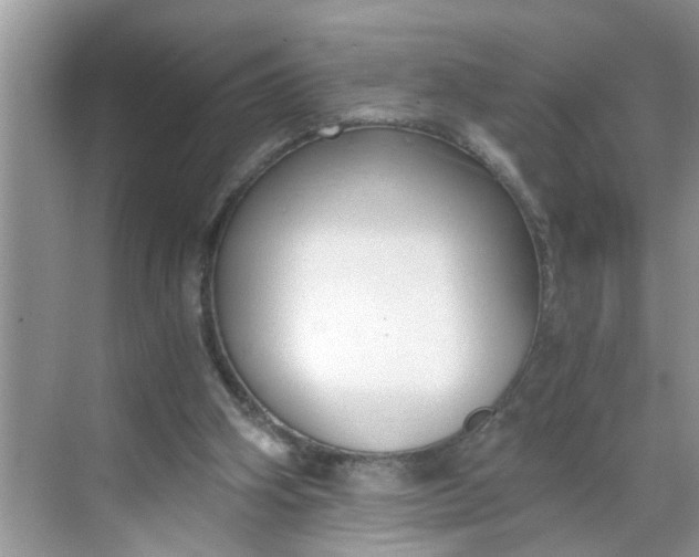 X0000068730106200605121528