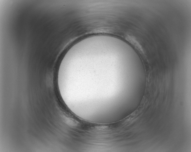 X0000068730108200605121528