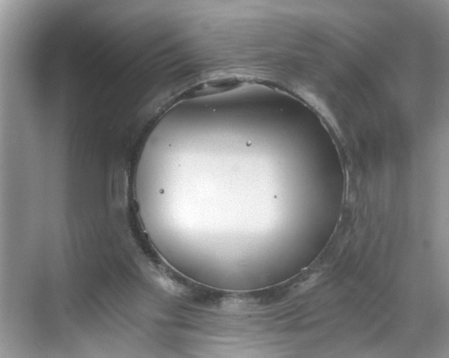 X0000068730109200605121528