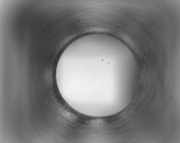 X0000068730112200605121528