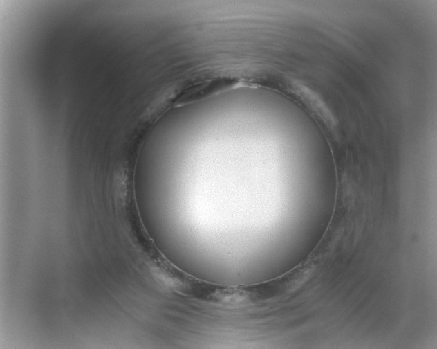 X0000068730113200605121528