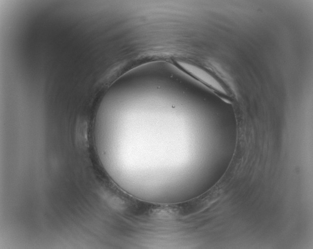 X0000068730115200605121528