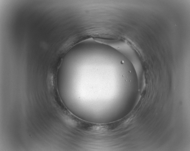 X0000068730117200605121528