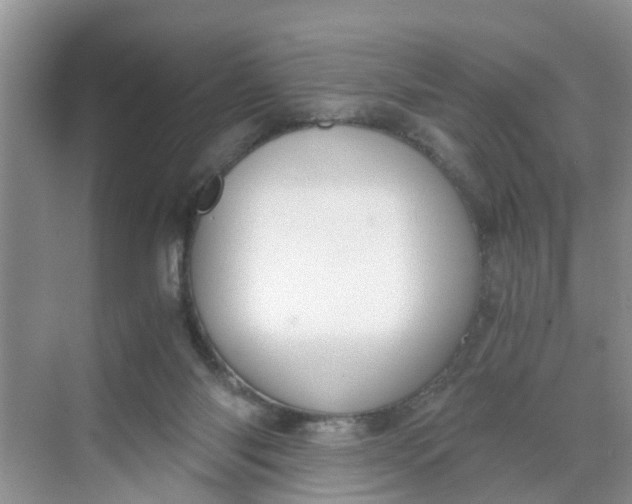 X0000068730118200605121528