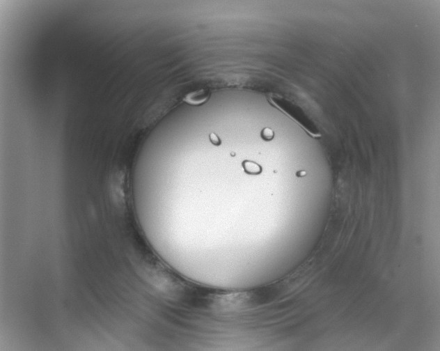 X0000068730122200605121528