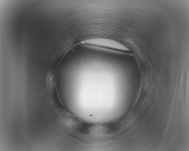 X0000068730123200605121528