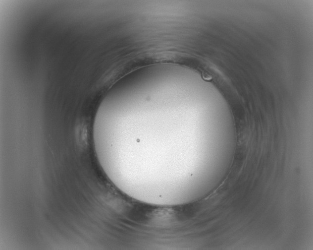 X0000068730124200605121528