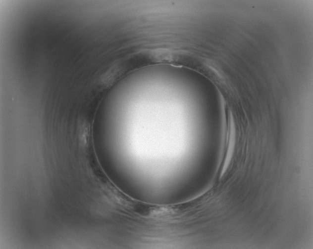 X0000068730125200605121528