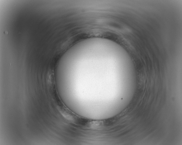 X0000068730126200605121528