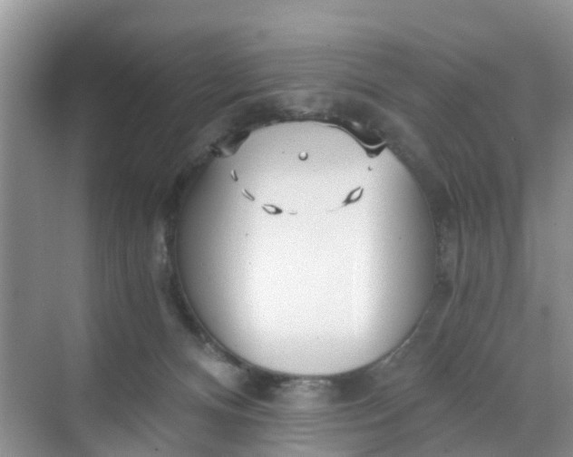 X0000068730128200605121528