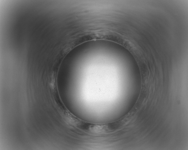 X0000068730129200605121528