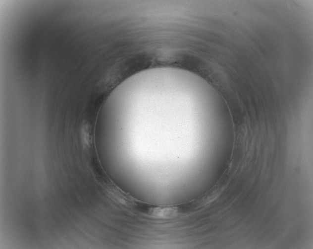 X0000068730135200605121528