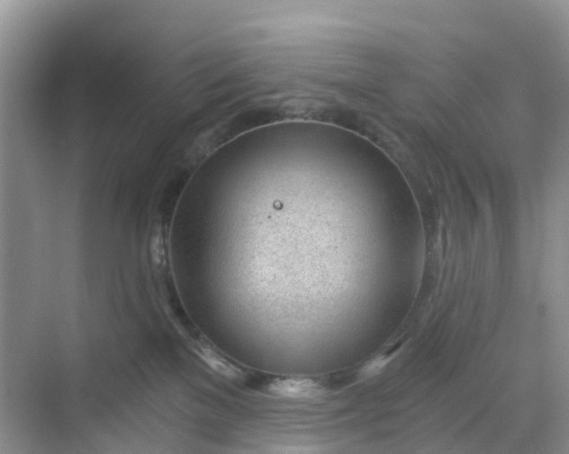 X0000068730137200605121528