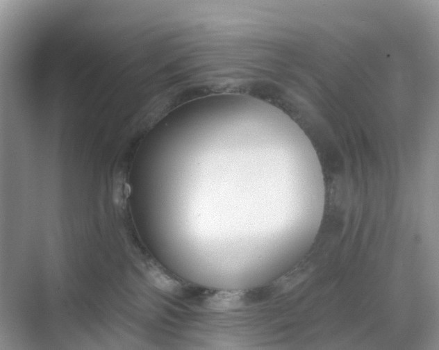 X0000068730138200605121528