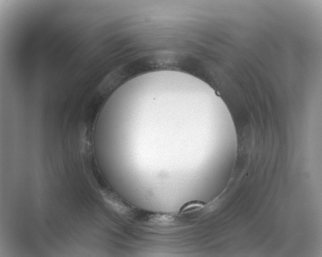 X0000068730140200605121528