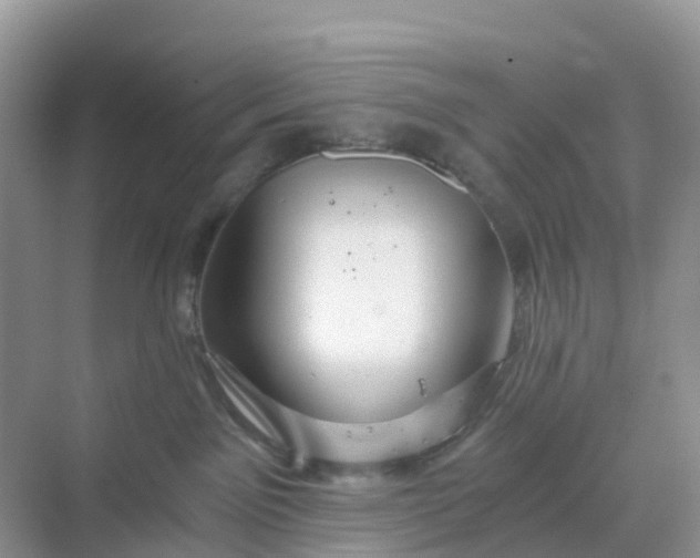 X0000068730141200605121528