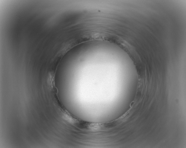 X0000068730142200605121528