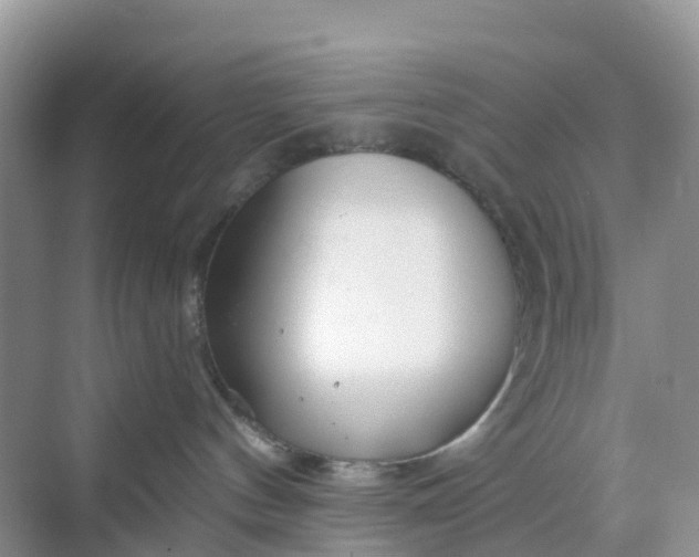 X0000068730144200605121528