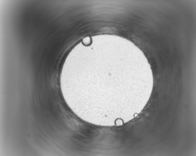 X0000068730146200605121527