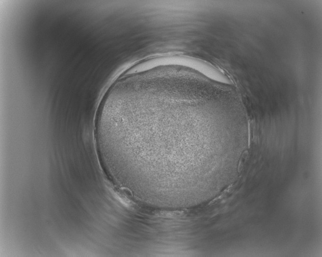 X0000068730147200605121527