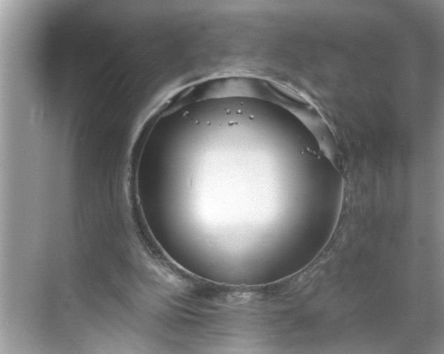 X0000068730152200605121527