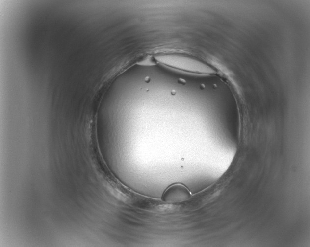 X0000068730153200605121527