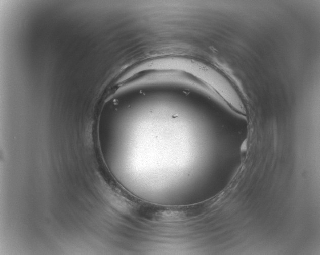 X0000068730154200605121527