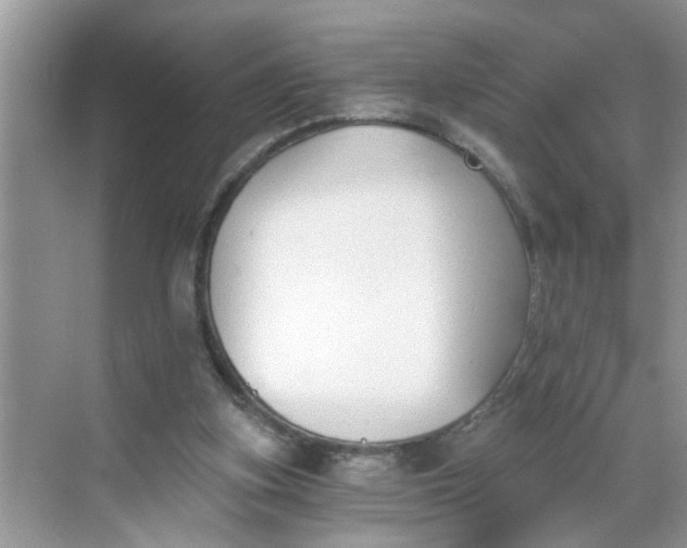 X0000068730155200605121527