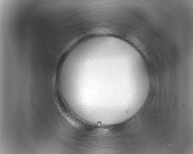 X0000068730159200605121527