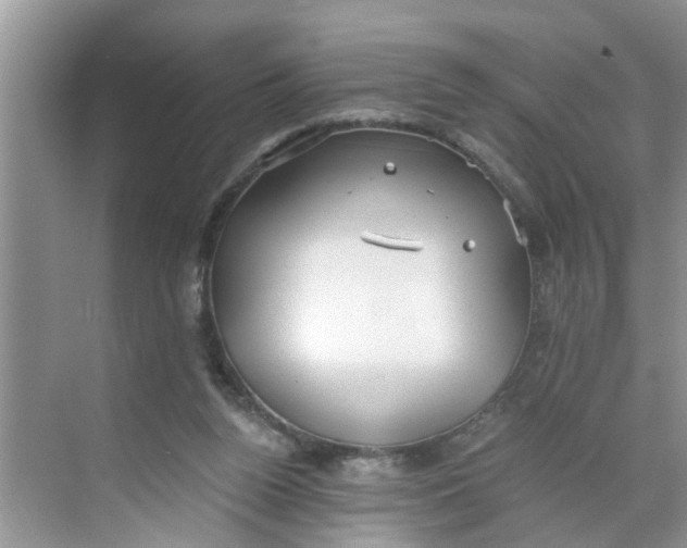 X0000068730160200605121527