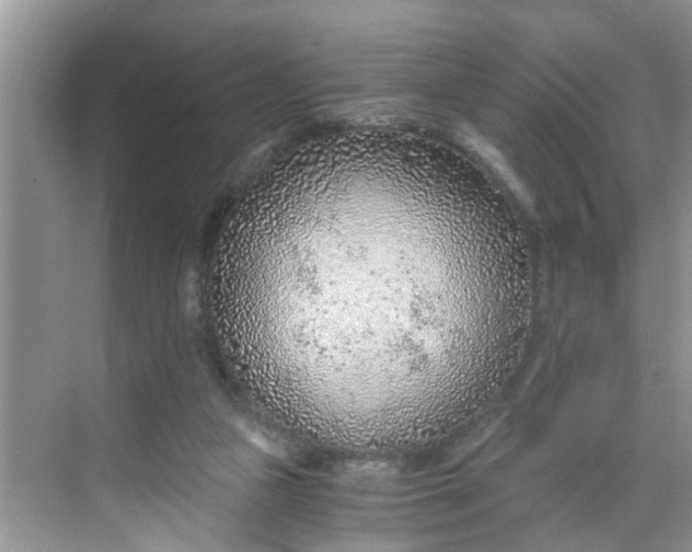 X0000068730161200605121527