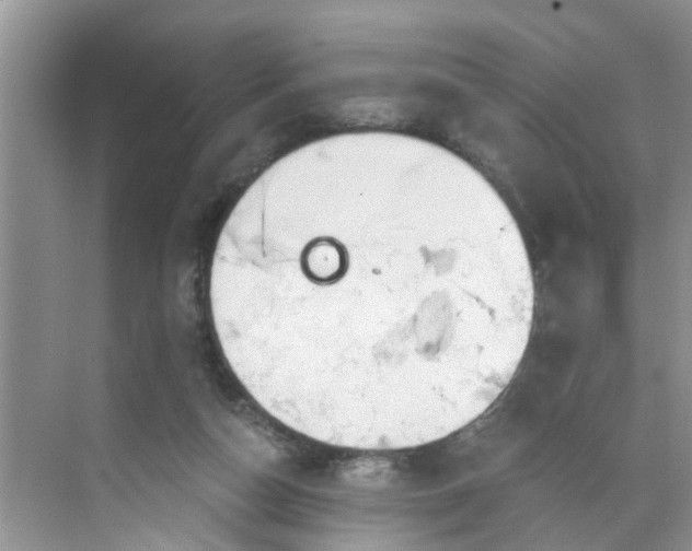 X0000068730162200605121527