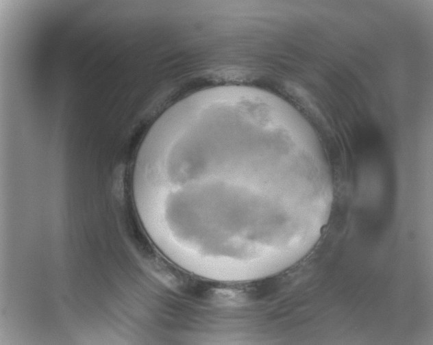 X0000068730167200605121527