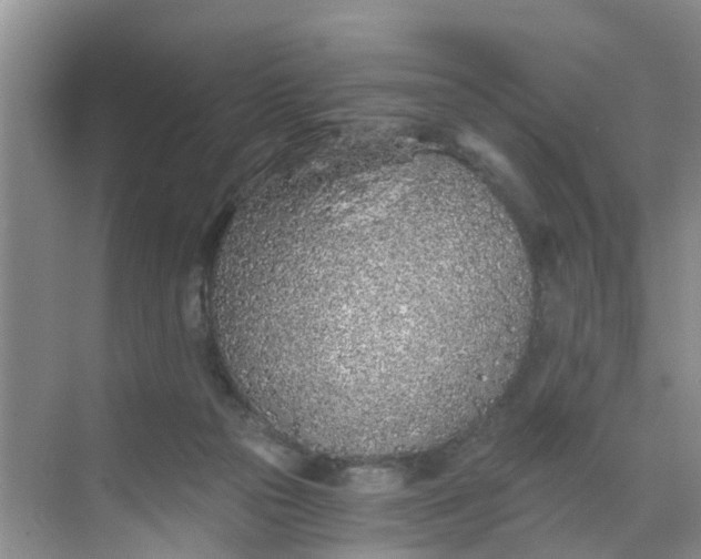 X0000068730169200605121527