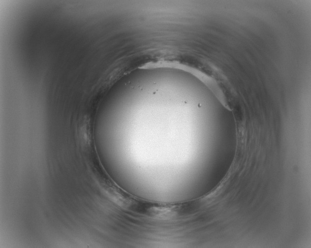 X0000068730170200605121527